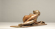 saeed marefat-sculpture-Reflections
